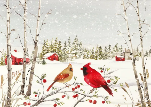 Peter Pauper Press Cardinals in Winter julekort 20 kort