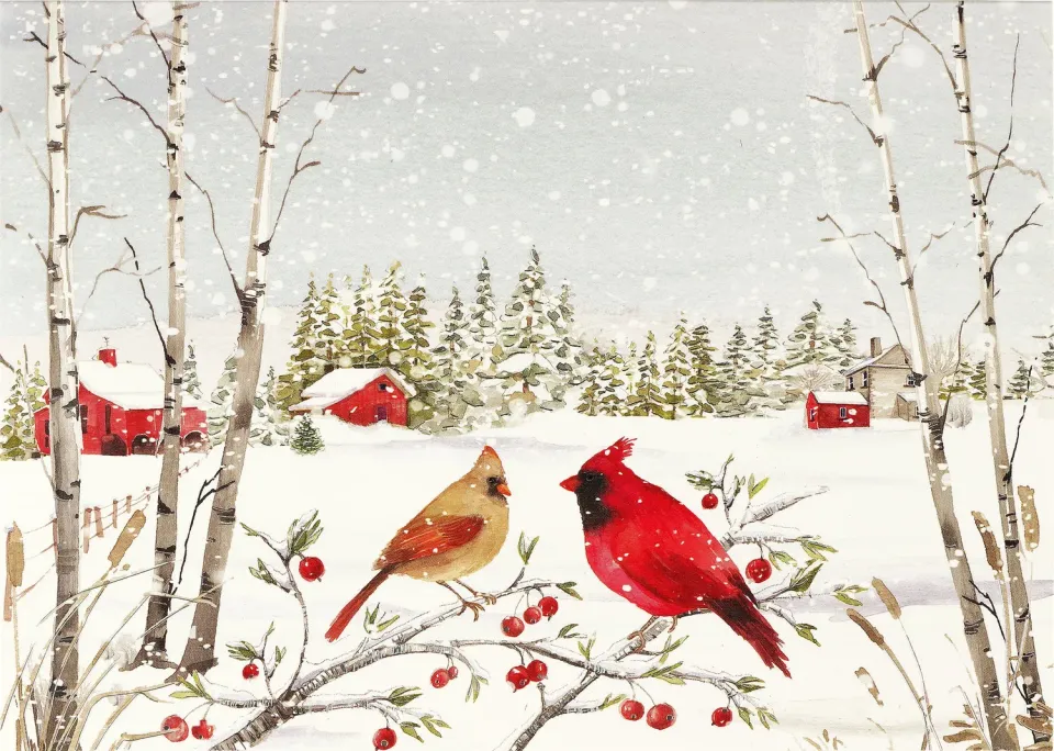 Peter Pauper Press Cardinals in Winter julekort 20 kort