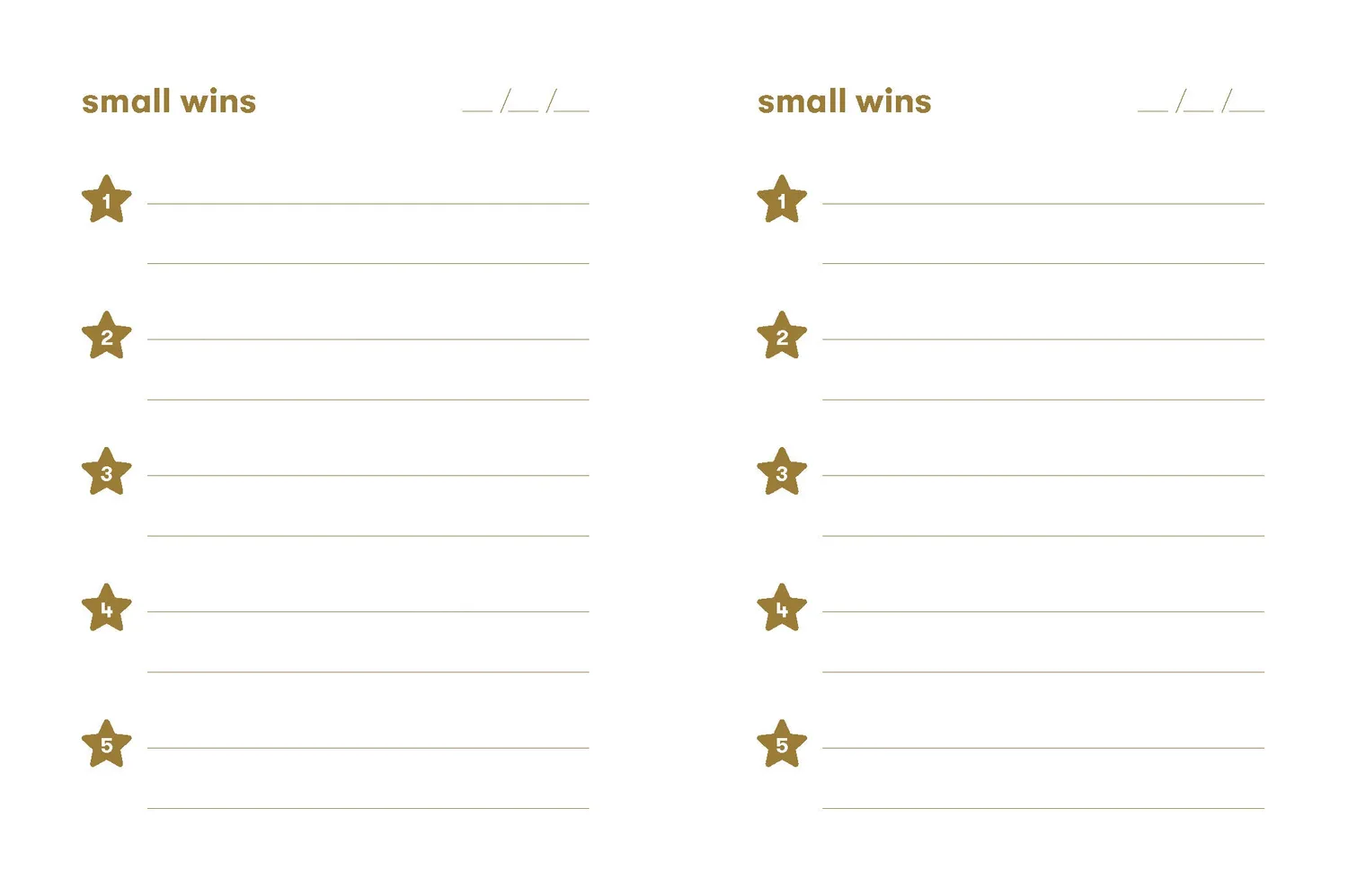 Abrams and Chronicle Small Wins journal dagbok miniseire