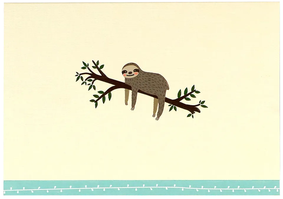 Peter Pauper Press Sloth notatkort 14-pk mintgrønn