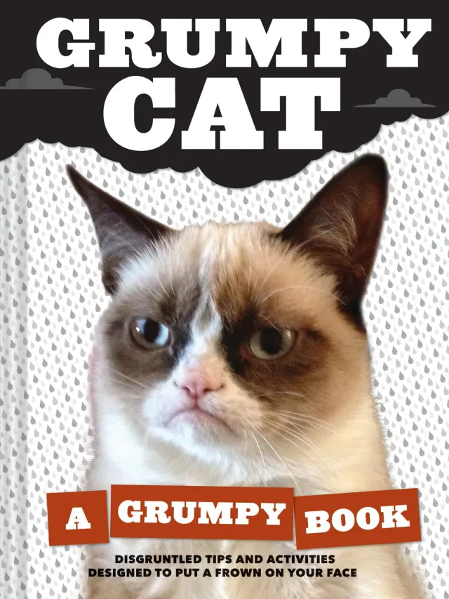 Chronicle Books Grumpy Cat Grumpy Book innbundet gavebok