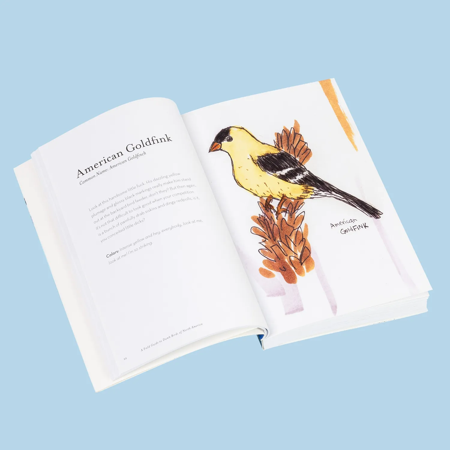 Chronicle Field Guide to Dumb Birds of America pocket humor