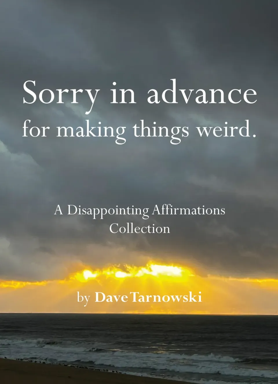 Disappointing Affirmations Sorry in advance humor innbundet