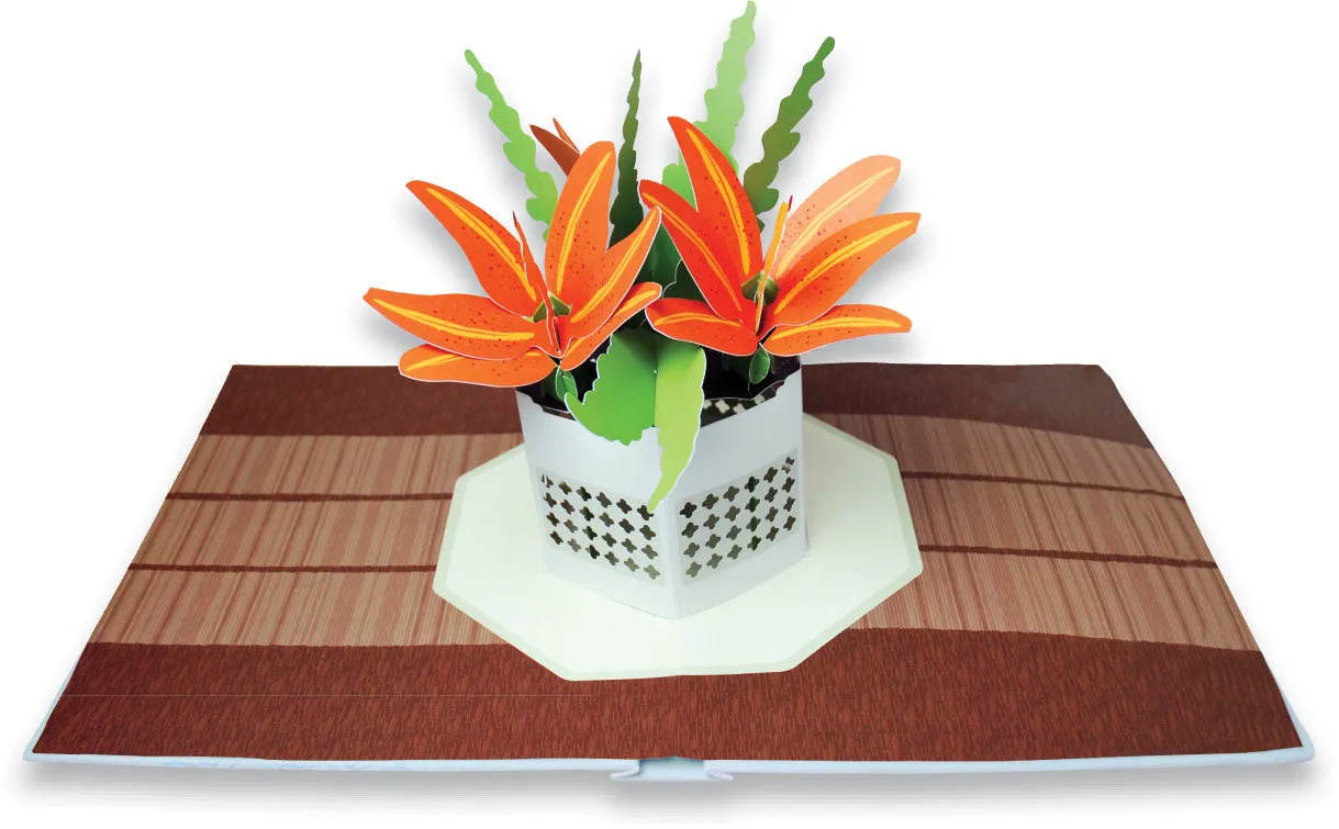 Chronicle Books Paper Blossoms pop-up bok blomster