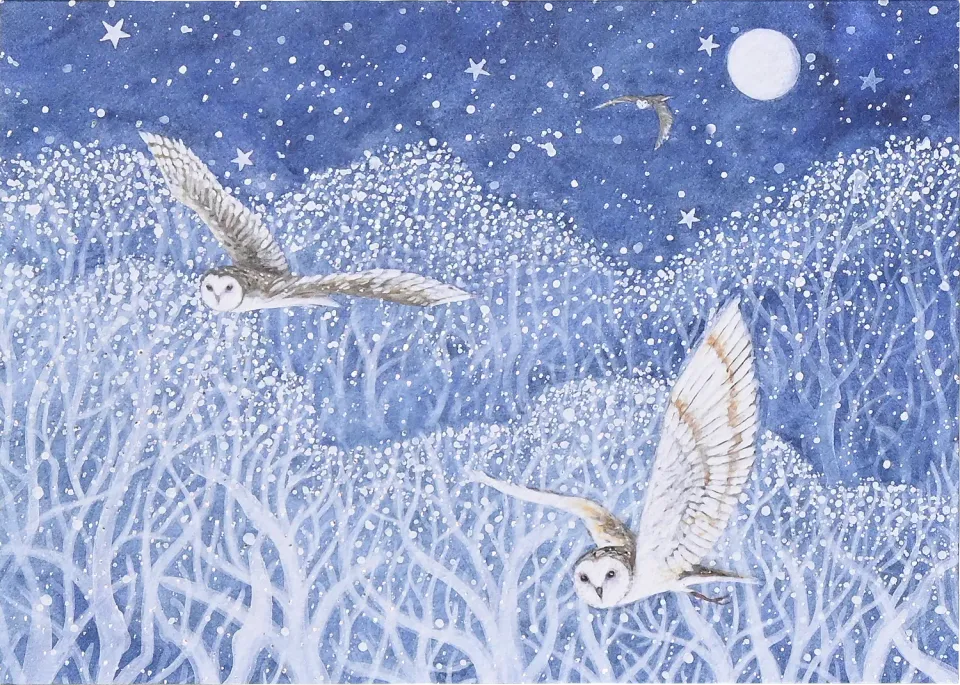 Peter Pauper Press Owls in Flight julekort 20-pk ugler