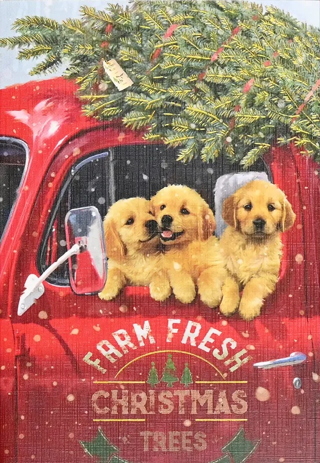 Peter Pauper Press Festive Pups julekort 20 stk små kort