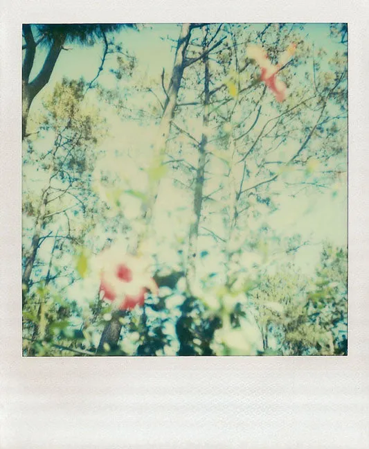 Abrams and Chronicle Polaroid Notes notatkort 20 stk konvolutt