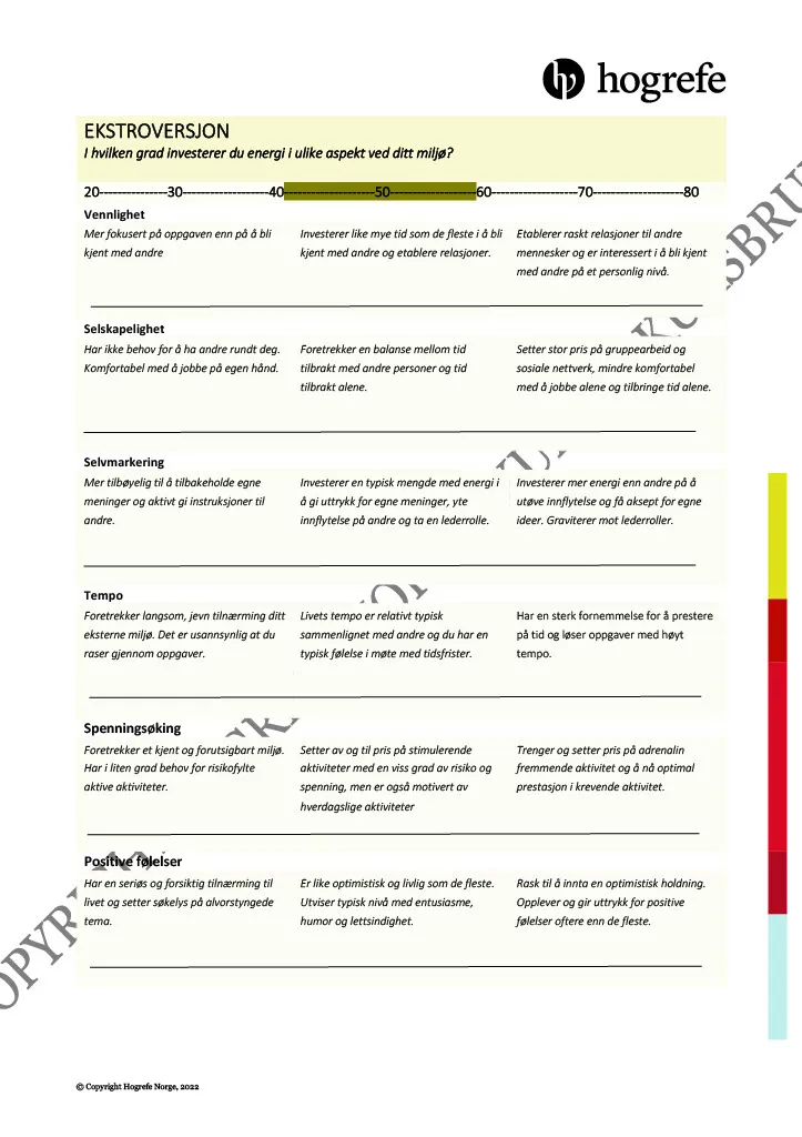 Hogrefe NEO-PI-3 resultatrapport papir
