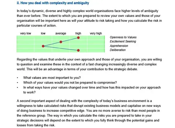 Hogrefe NEO-PI-3 Leadership rapport engelsk ledelse