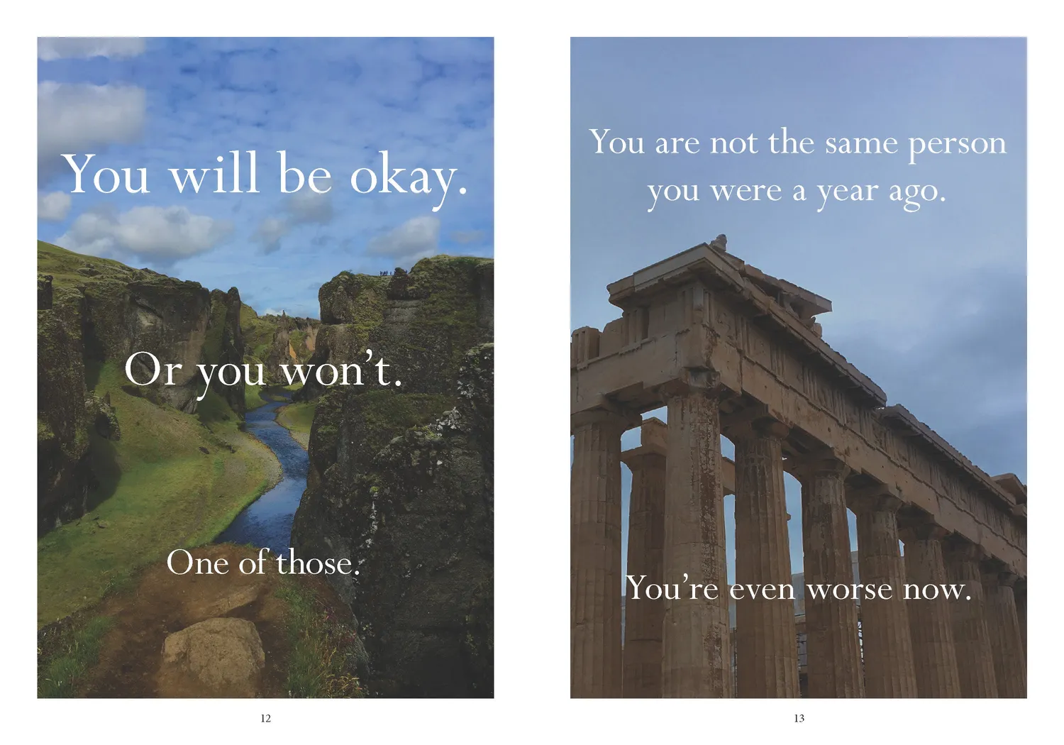 Disappointing Affirmations Sorry in advance humor innbundet