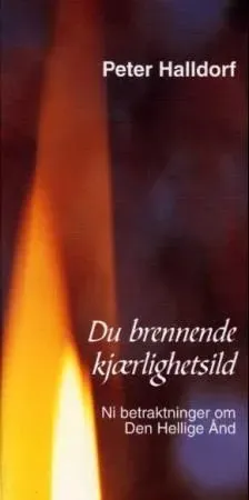 Bokia Du brennende kjærlighetsild innbundet pent brukt