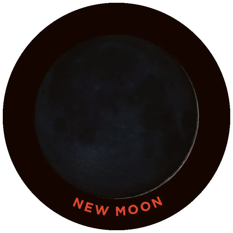 Chronicle Moon Matching Game memo NASA-bilder