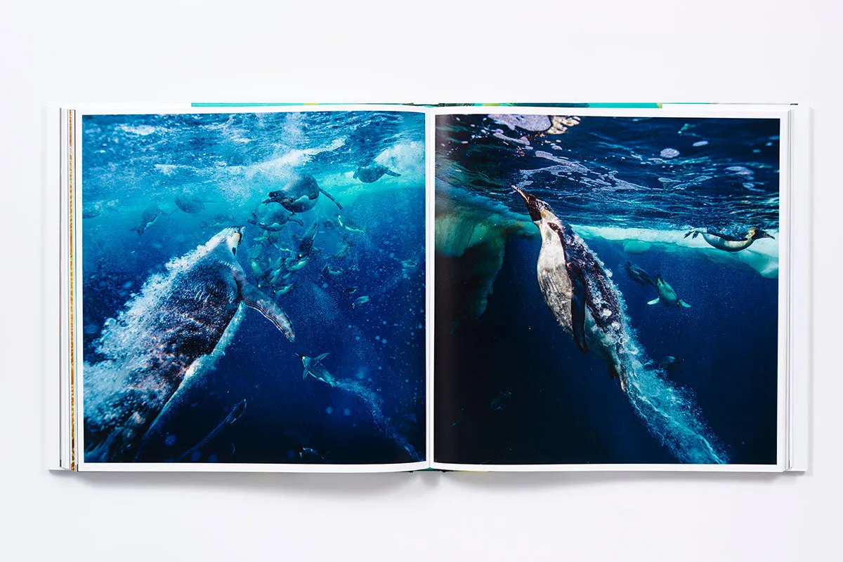 The Life & Love of the Sea innbundet fotobok havet