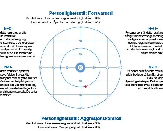Hogrefe NEO-PI-3 Norsk HR-rapport 633-617 HTS