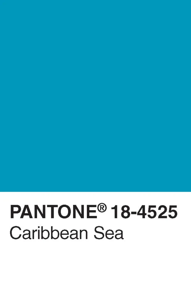 Abrams and Chronicle Pantone Postcard Box postkort 100 stk farger
