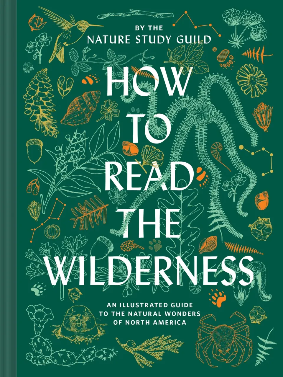 How to Read the Wilderness guide innbundet flora fauna