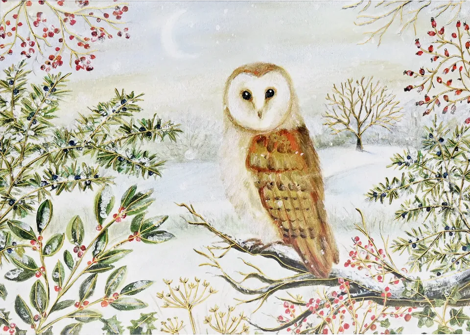 Peter Pauper Press Barn Owl in Winter julekort 20 stk eske gullfolie
