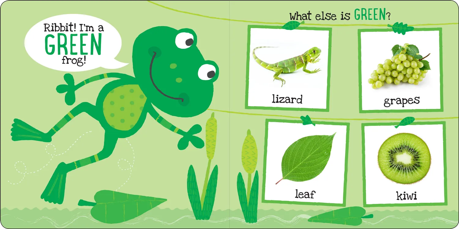 Peter Pauper Press My First Colors peke-bok farger 0+