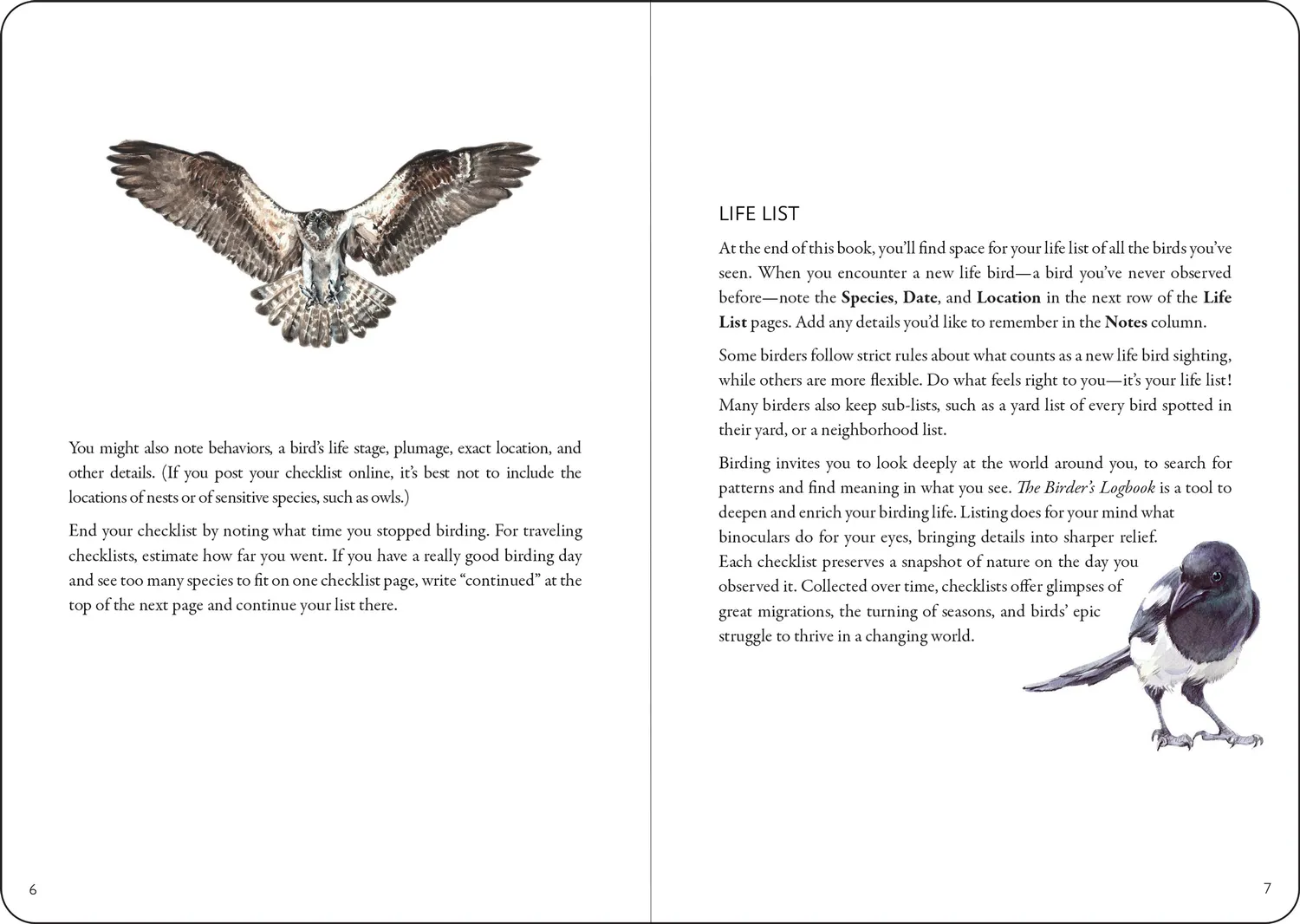 Peter Pauper Press The Birder's Logbook fugleloggbok innbundet
