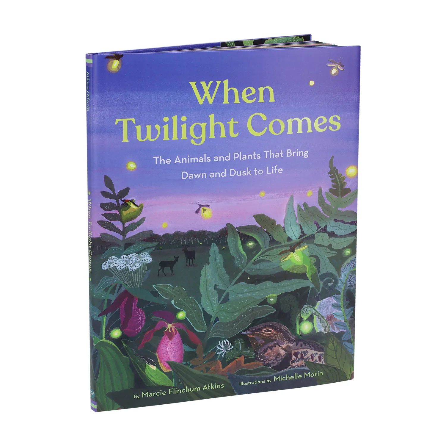 Abrams and Chronicle When Twilight Comes bildebok innbundet 5-8 år