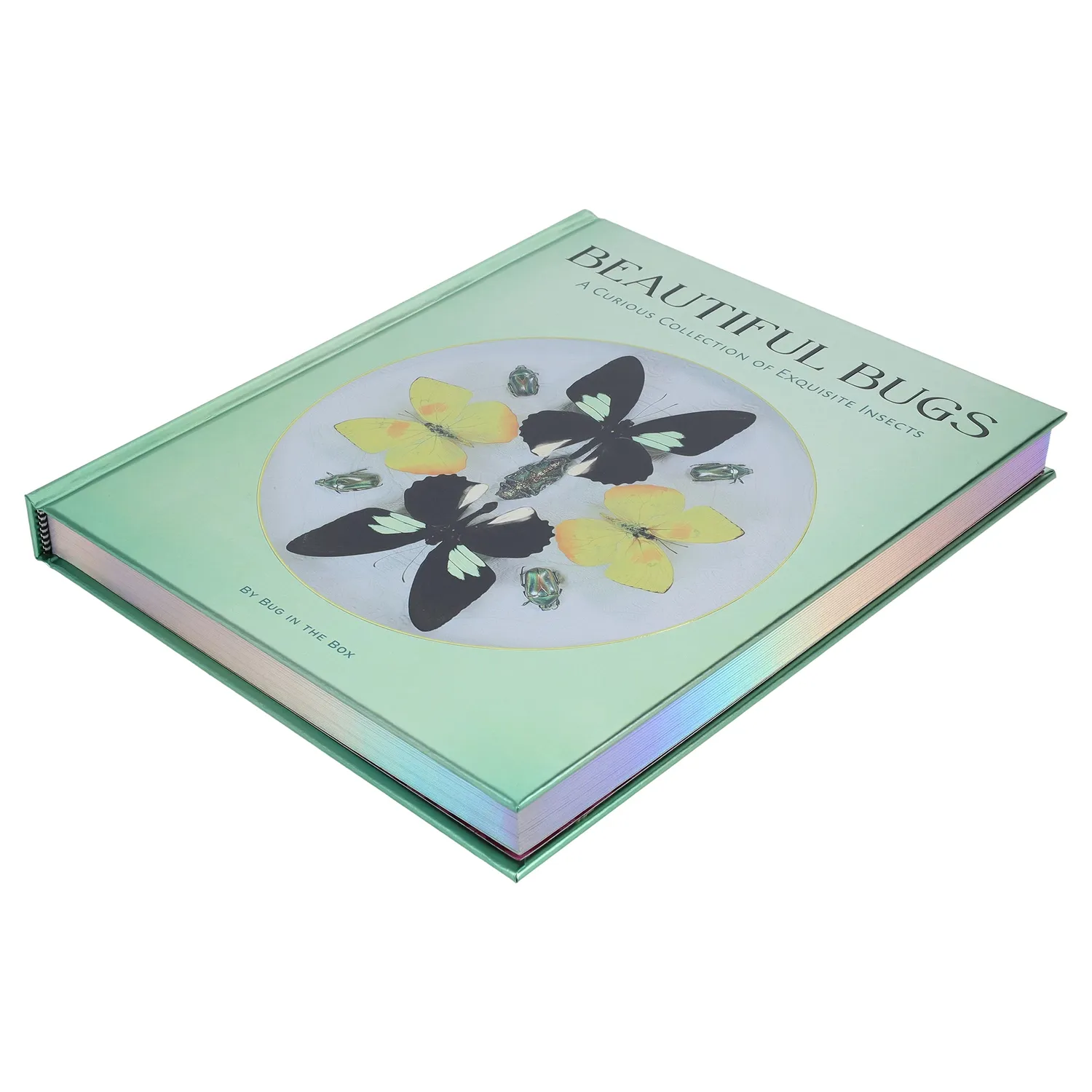 Abrams and Chronicle Beautiful Bugs innbundet faktabok insekter