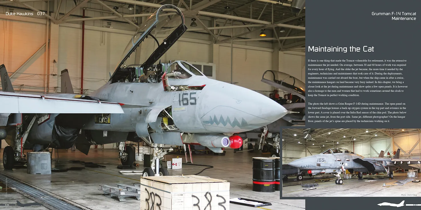 Duke Hawkins Grumman F-14 Tomcat bok 220 sider