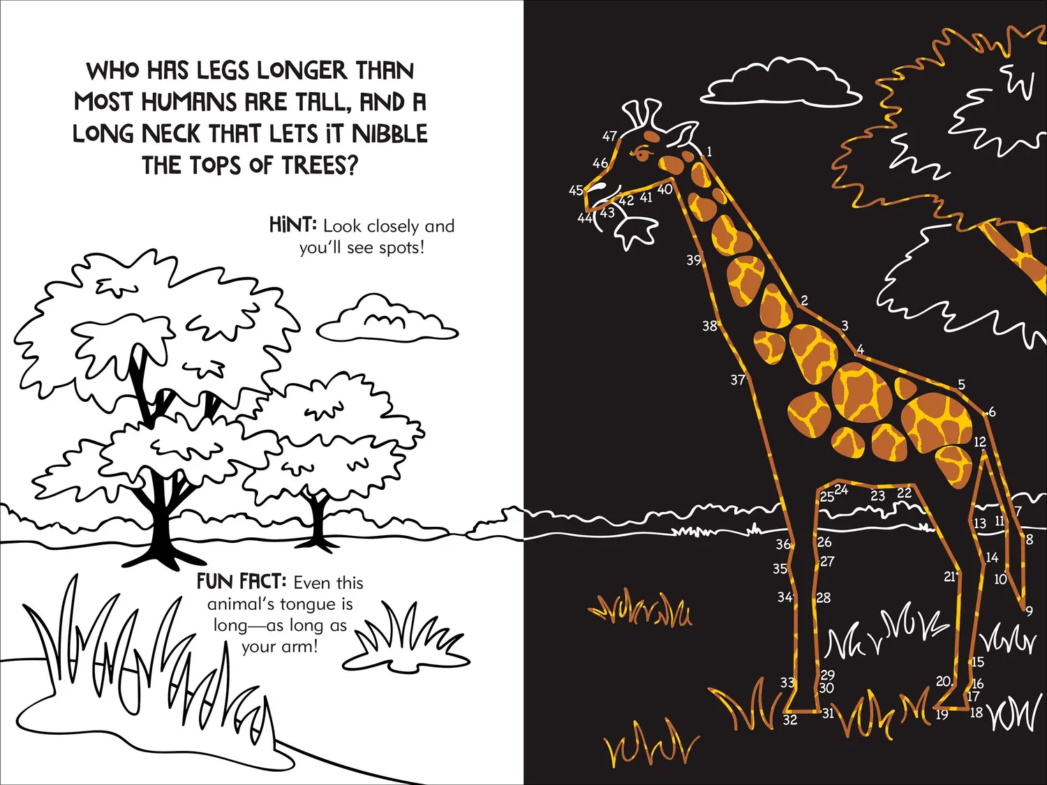 Peter Pauper Press Scratch and Sketch Dot-to-Dot Animals aktivitetsbok dyr