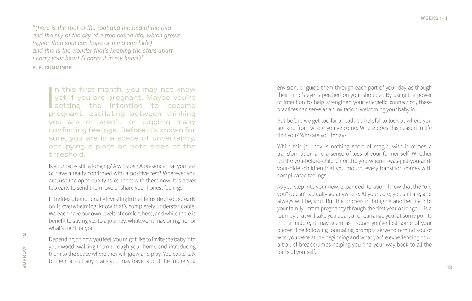 9 Months of Wonder gravid dagbok journal mor