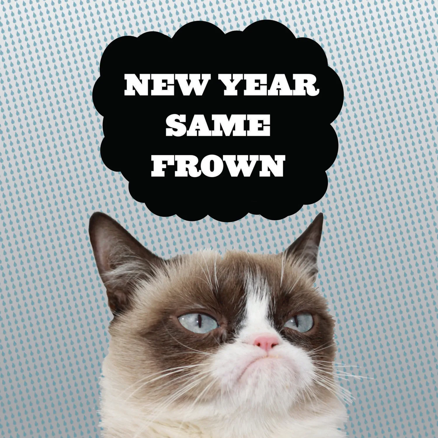 Grumpy Cat 2027 veggkalender 12x12 gave