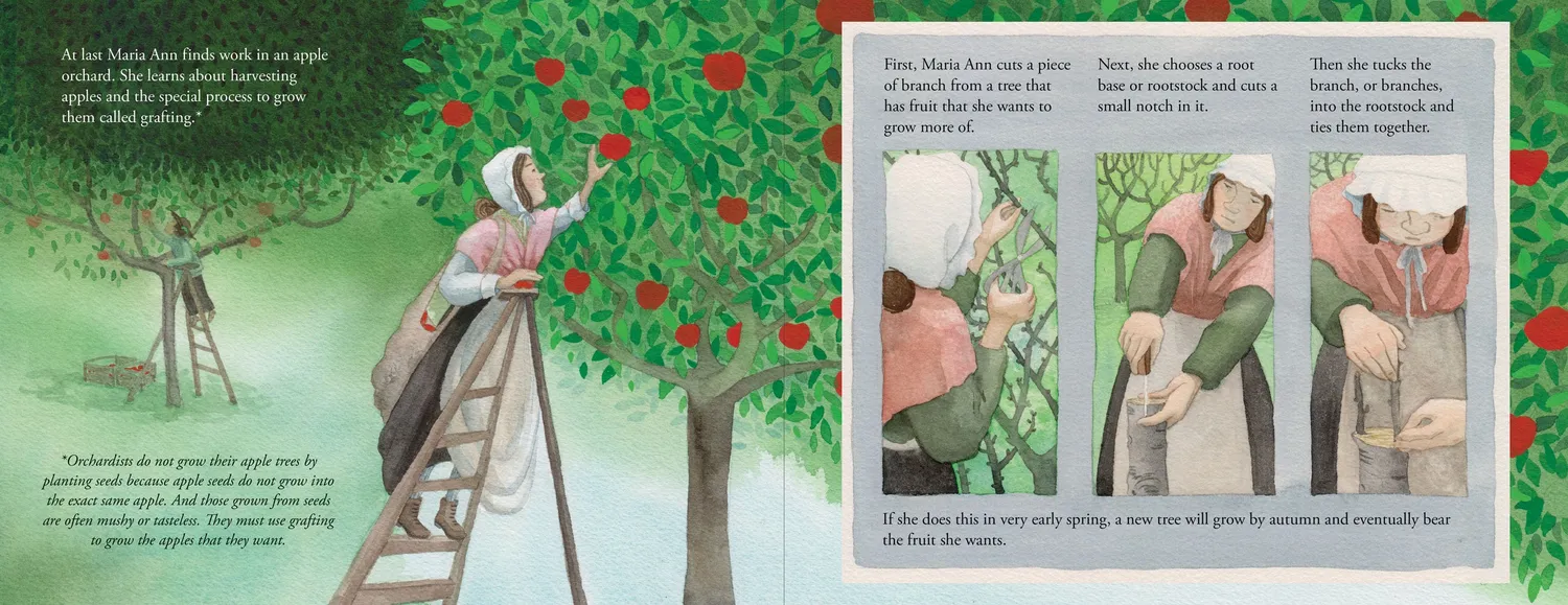 Peter Pauper Press Granny Smith Was Not an Apple bildebok