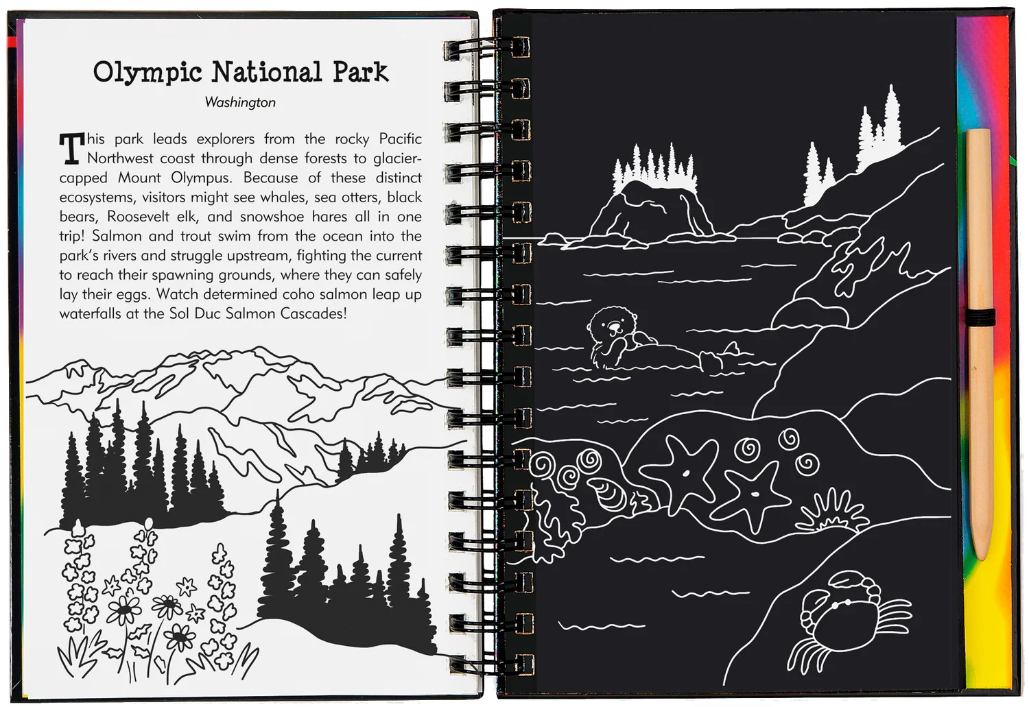 Peter Pauper Press National Parks Scratch and Sketch skrapebok