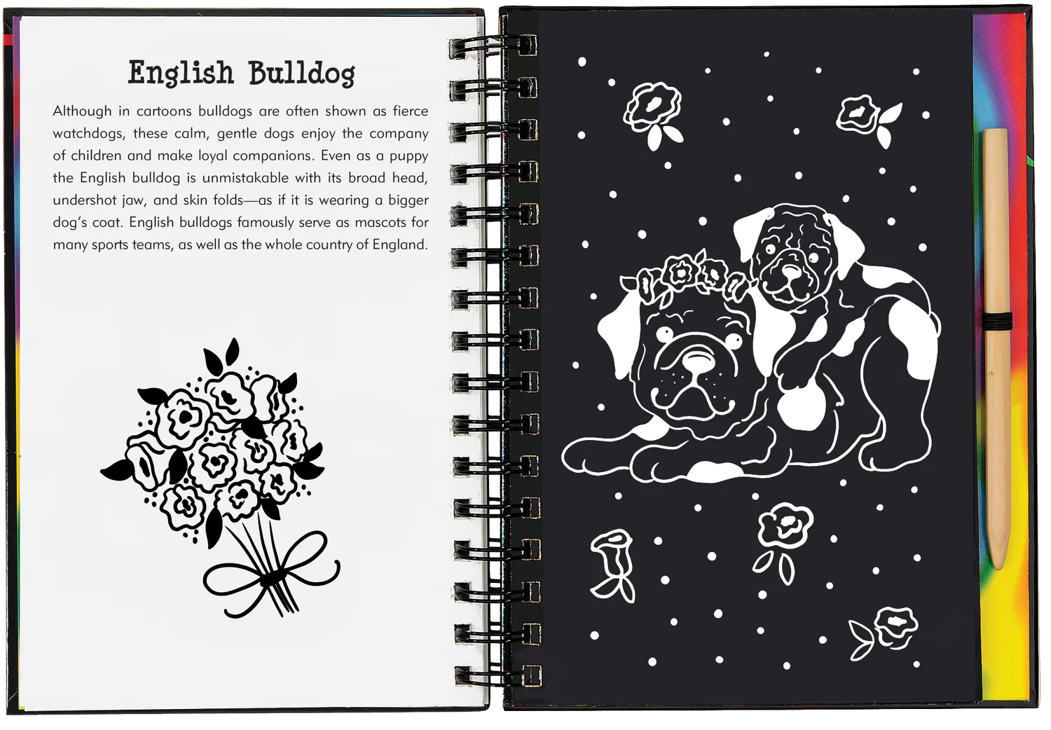 Peter Pauper Press Puppies Scratch and Sketch skrapebok