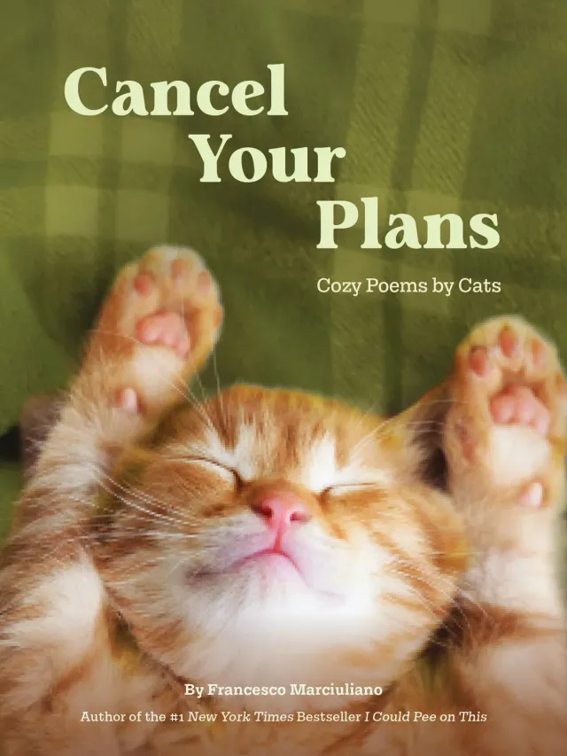 Abrams and Chronicle Cancel Your Plans innbundet diktbok katter