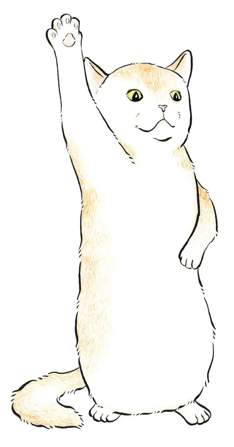 Chronicle Books Invisible Cat Activities tegnebok pocket