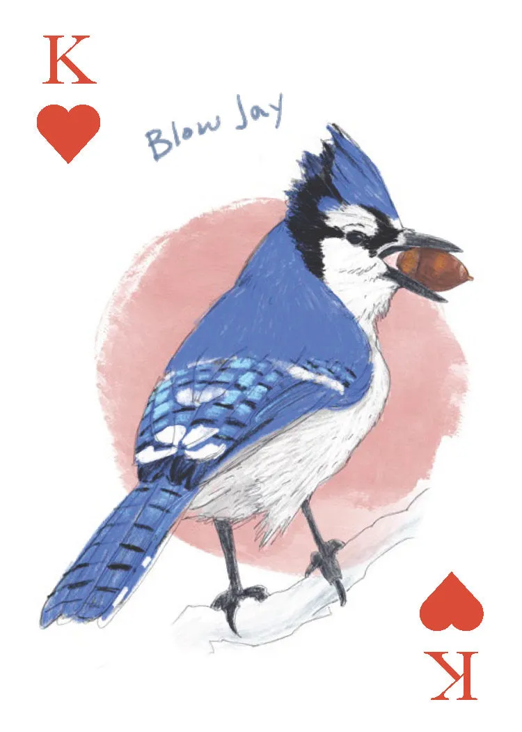 Chronicle Books Field Guide to Dumb Birds spillkort 2-pakning