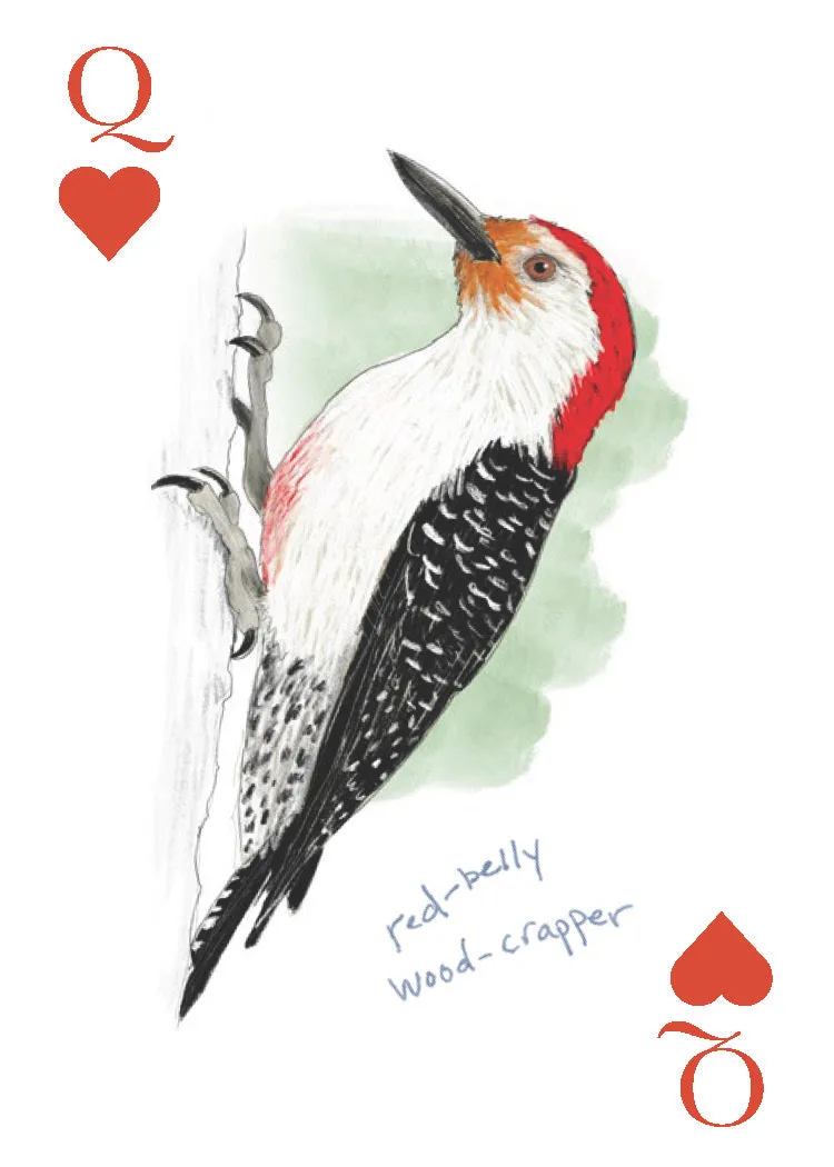Chronicle Books Field Guide to Dumb Birds spillkort 2-pakning