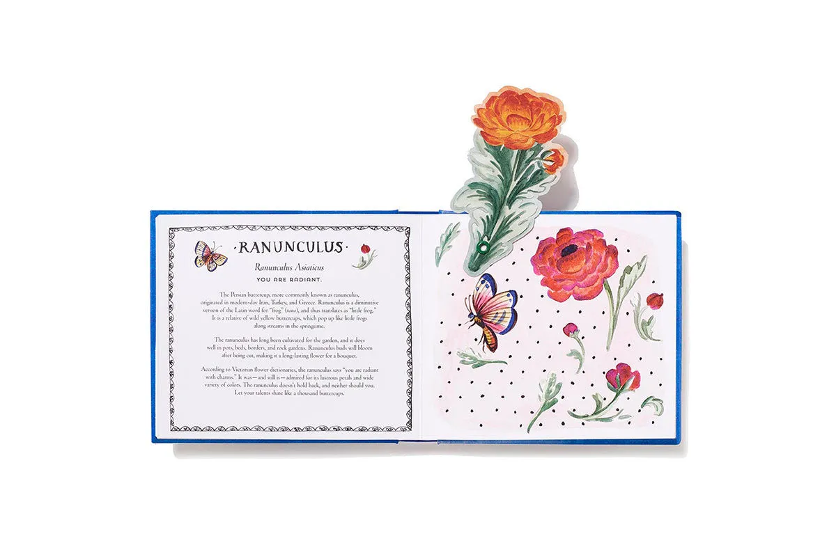 Abrams & Chronicle Books UpLifting Editions Happy Day bok bukett pop-up