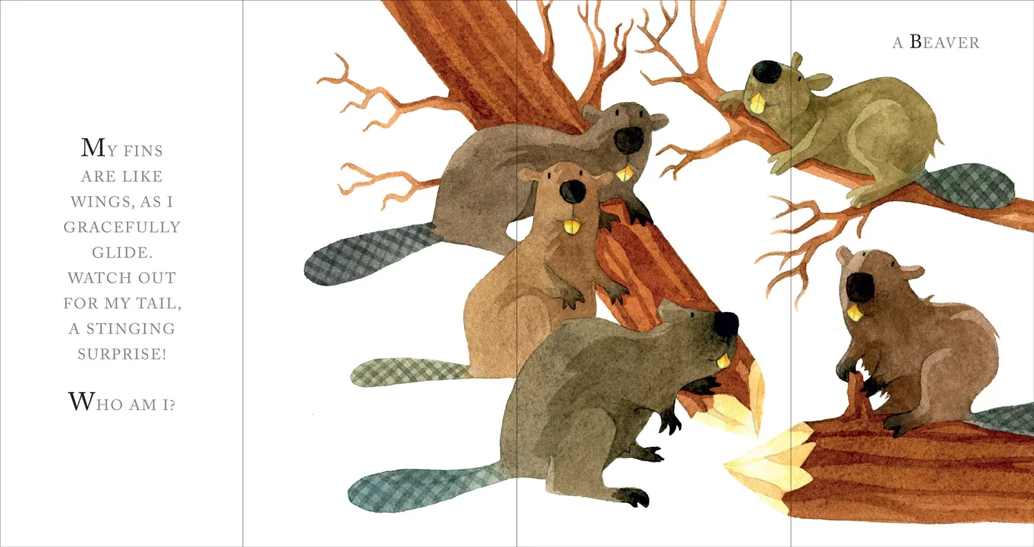 Whose Tail? biletbok innbundet klaffer Agathe Hennig