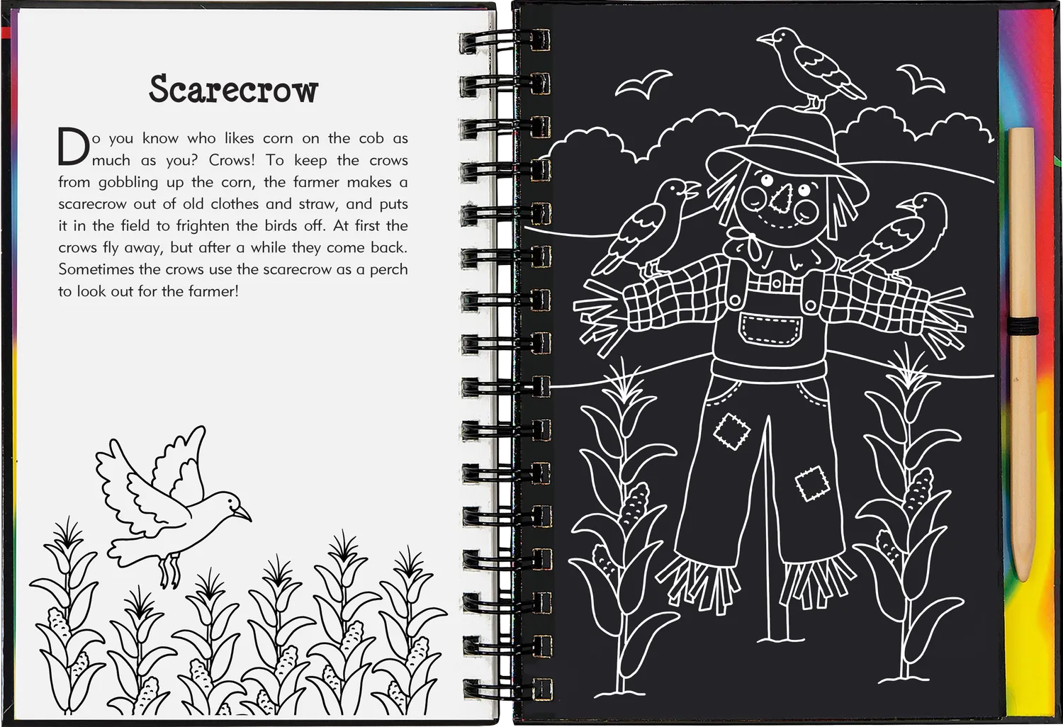Peter Pauper Press On The Farm Scratch and Sketch skrapebok