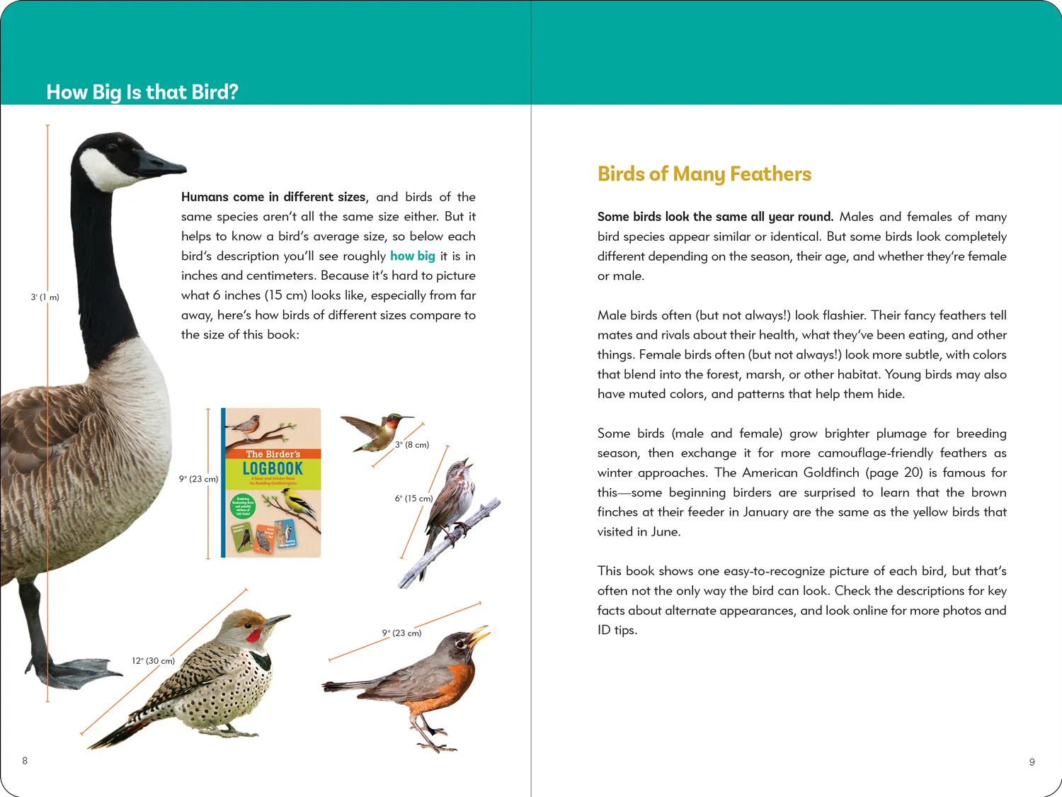 Peter Pauper Press Birder's Logbook klistremerkebok fugl