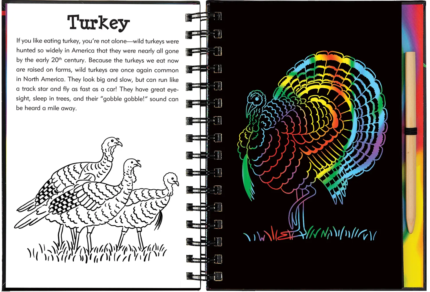 Peter Pauper Press Scratch and Sketch Forest Friends skrapebok skogdyr