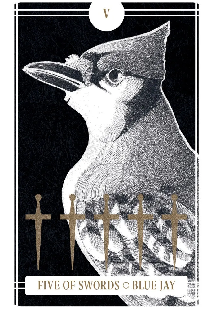 Chronicle Books Avian Tarot tarotkort 78 kort fuglemotiv