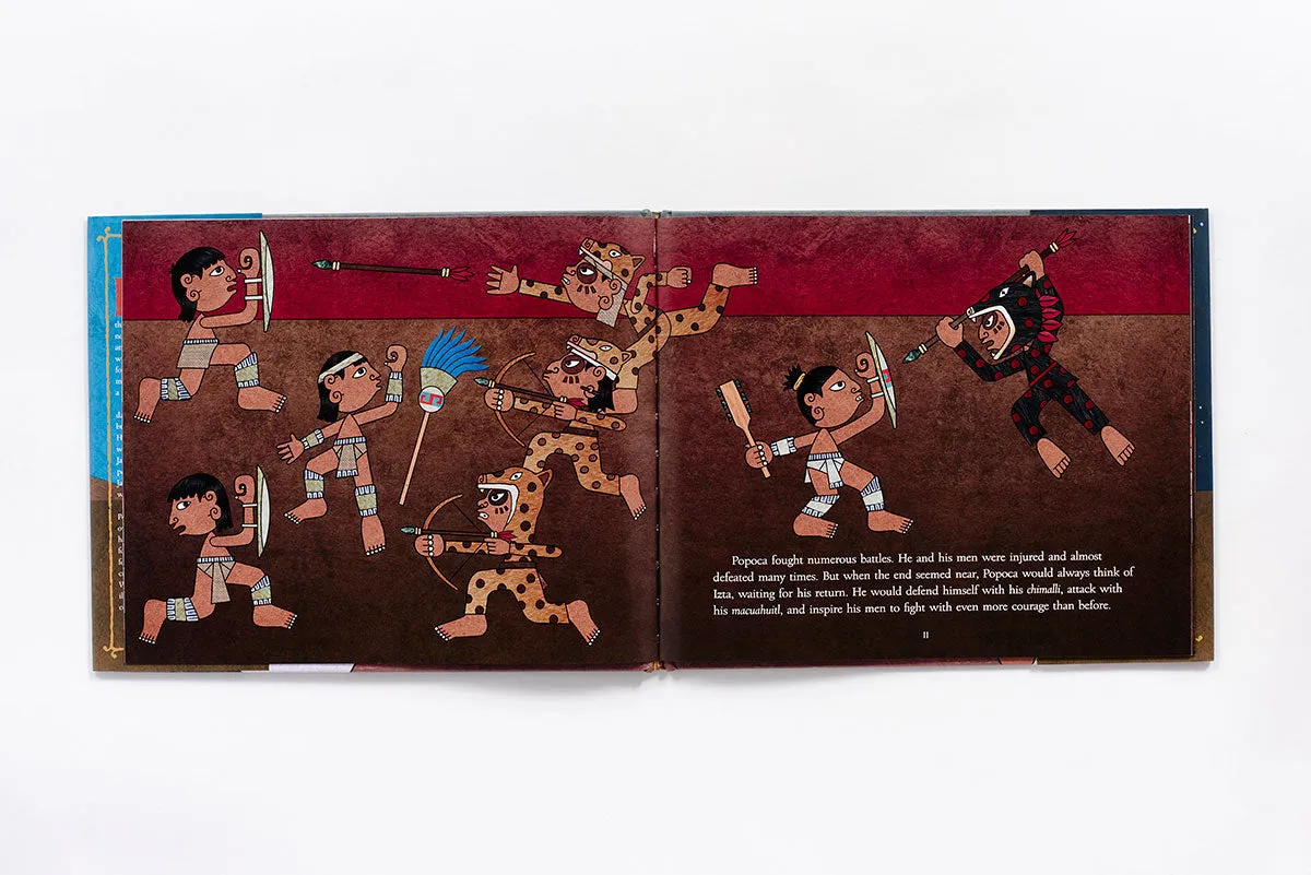 Abrams and Chronicle The Princess and the Warrior bildebok 6-9 år