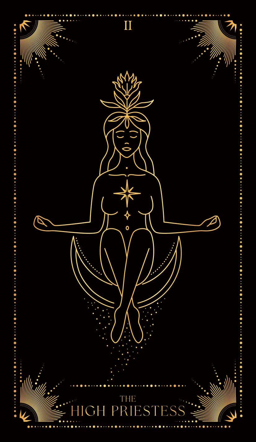 Peter Pauper Press Mystic Odyssey tarotkort 78 kort svart