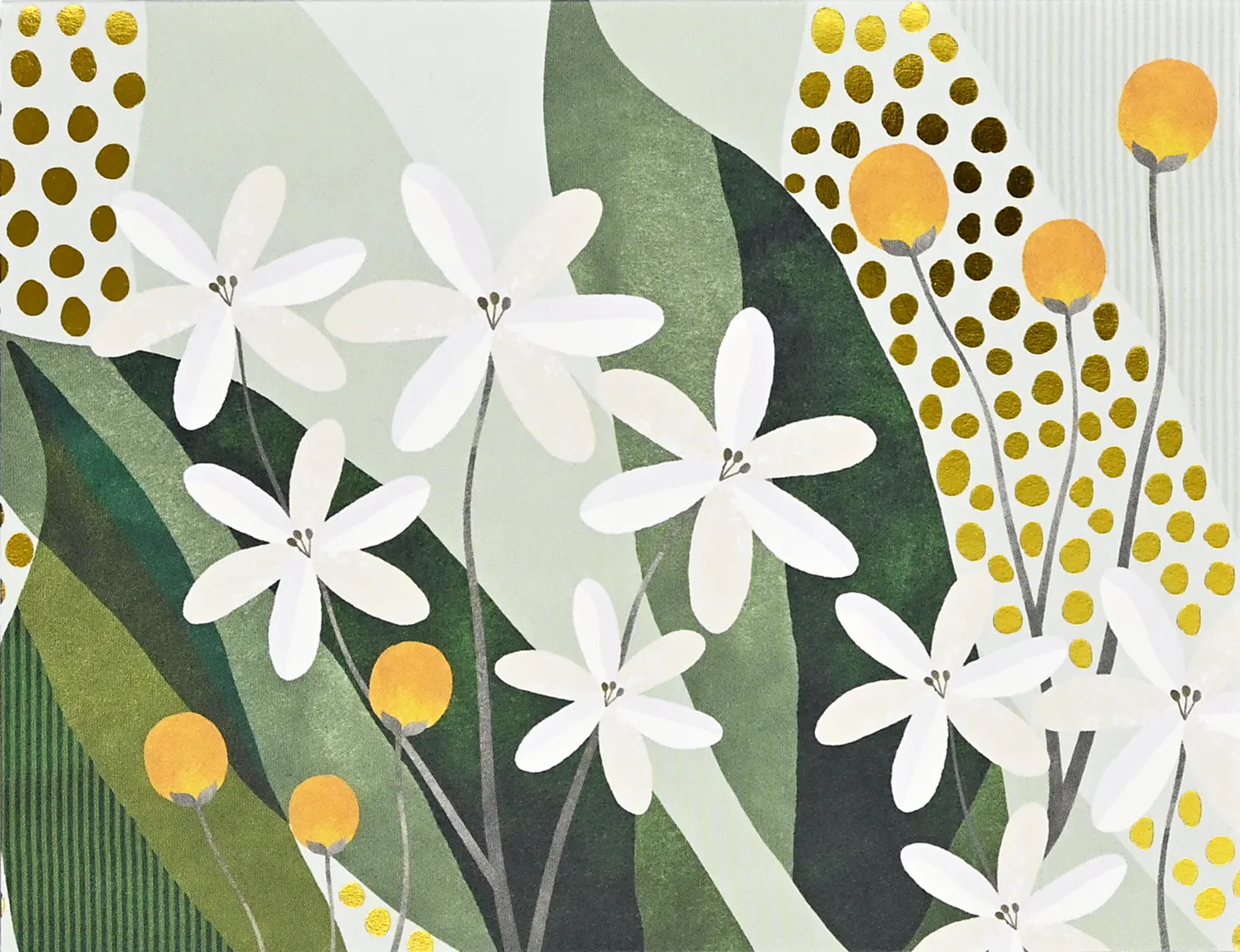 Peter Pauper Press Premium Floral notatkort 20 stk