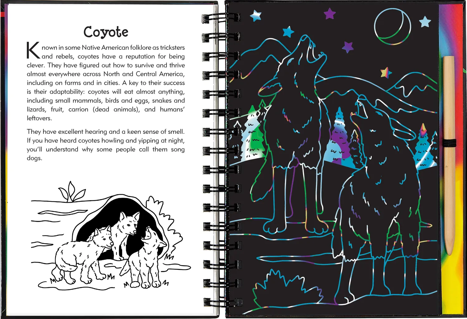 Scratch and Sketch Nocturnal Animals skrapebok barn