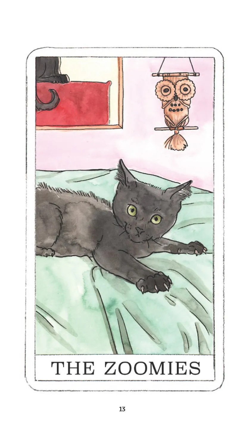 Kitten Oracle orakelkort 50 kort med guidebok katt