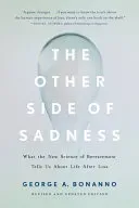 George A. Bonanno The Other Side of Sadness bok pent brukt engelsk