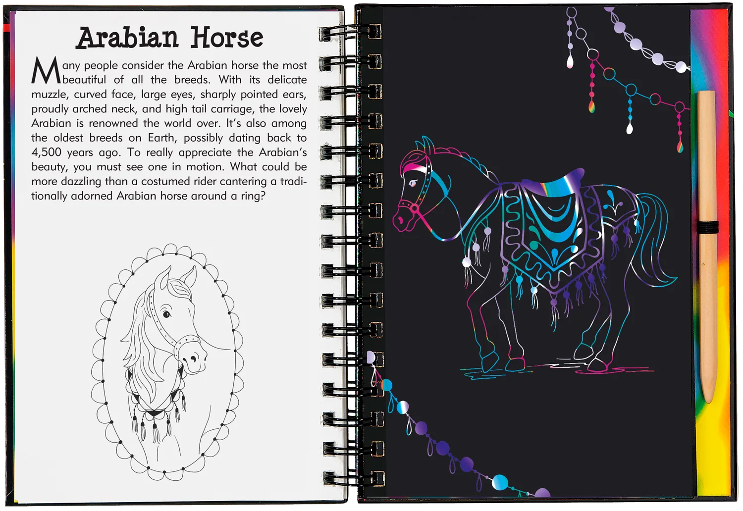 Peter Pauper Scratch and Sketch Horses skrapebok hester