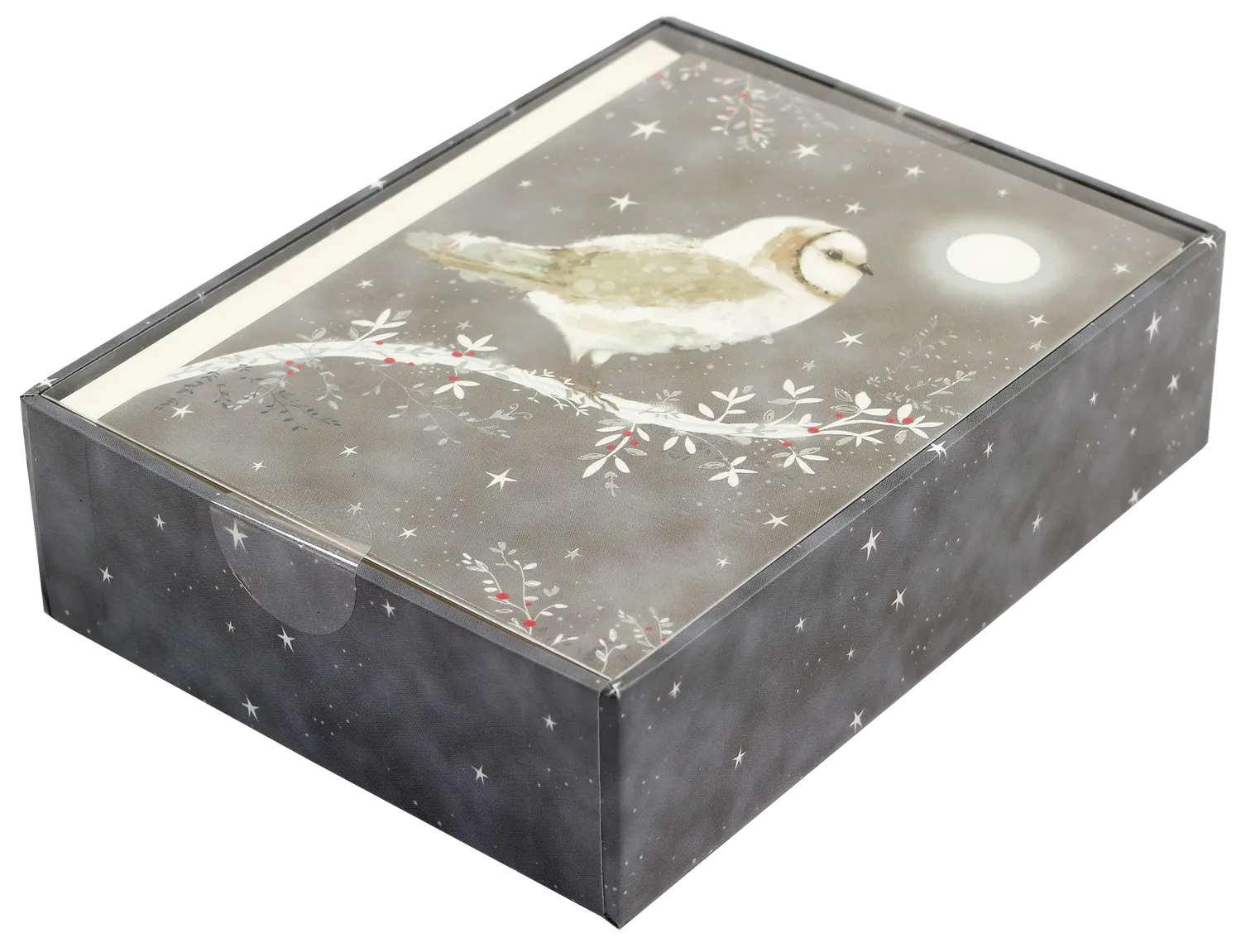 Peter Pauper Press Starry Night Owl julekort 20 stk sølvfolie